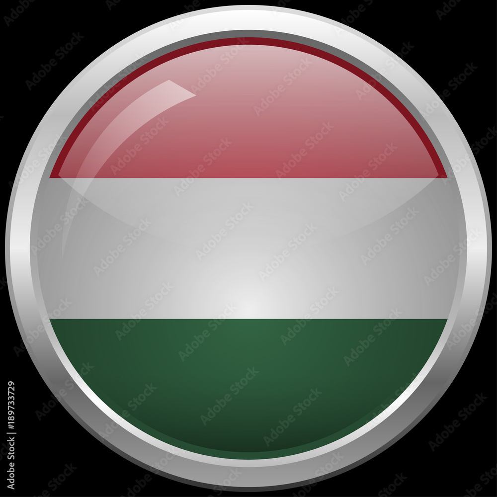 Hungarian flag glass button vector illustration Hungarian flag glass button vector illustration