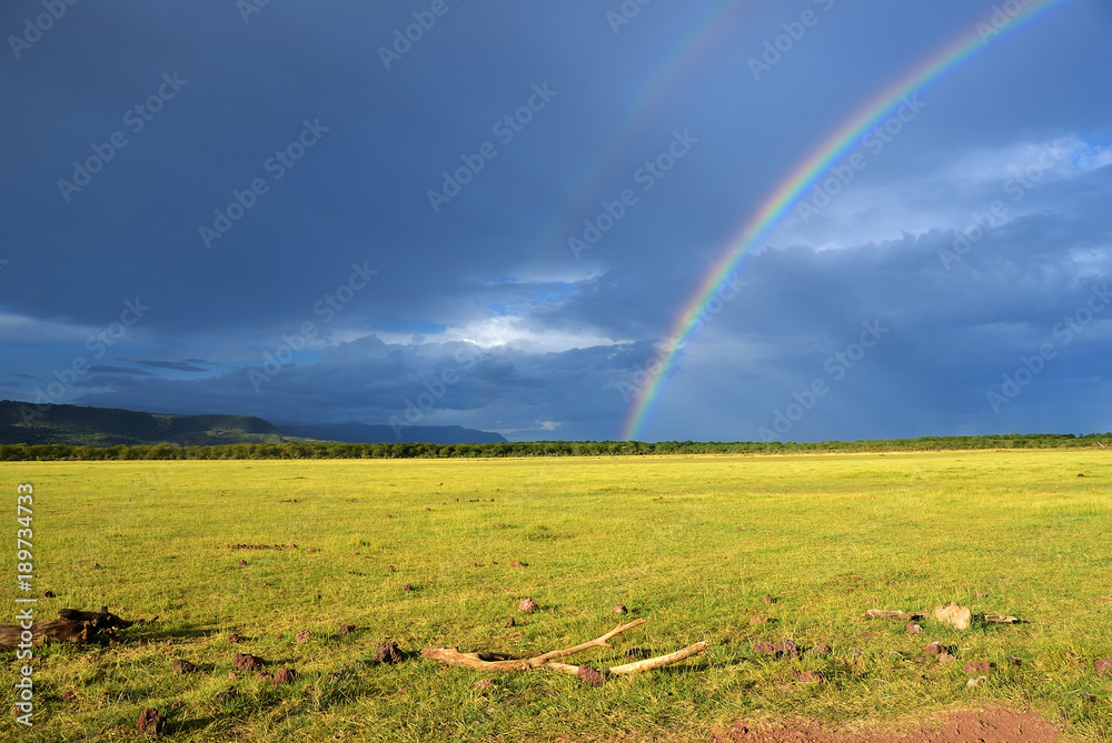 Naklejka premium Rainbow over savannah, Tanzania, Africa