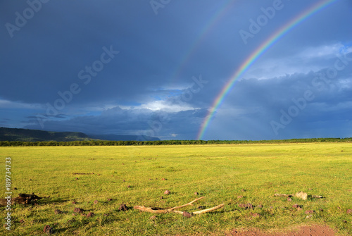 Rainbow over savannah, Tanzania, Africa