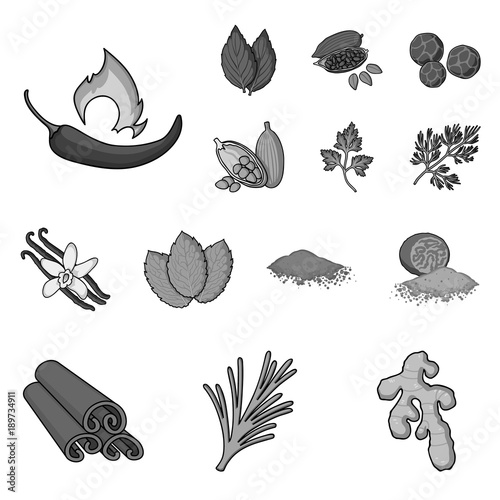 Herb and spices monochrome icons in set collection for design.Different kinds of seasonings vector symbol stock web illustration.