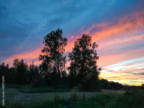 Fototapeta Naklejka Na Ścianę i Meble -  Beautiful cloudscape. Sunset landscape with forest.