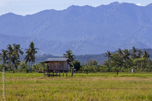 Принти на полотні A paddy hut or being called a SULAP in local dialect at Sangkir Village, Kota Belud