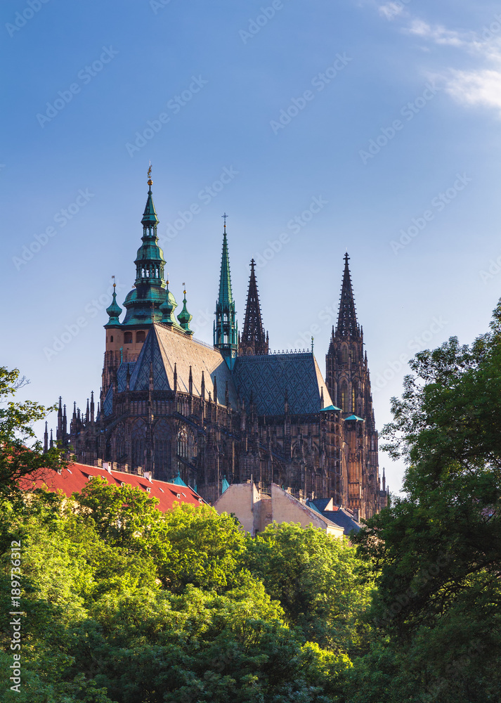 Prague Castle and Saint Vitus Cathedral, Czech Republic. Panoramic view