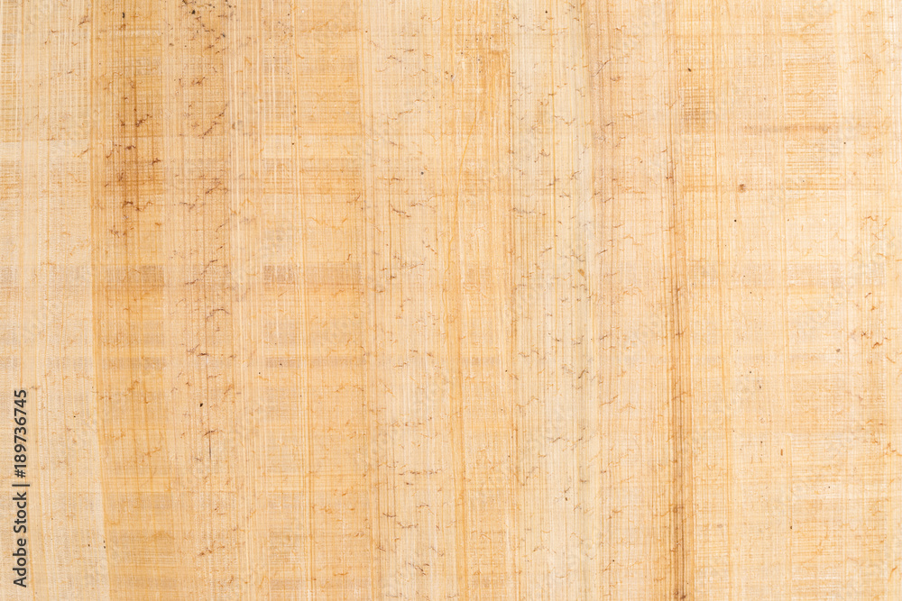 Fine antique papyrus as background, paper texture Fine antique papyrus as background, paper texture