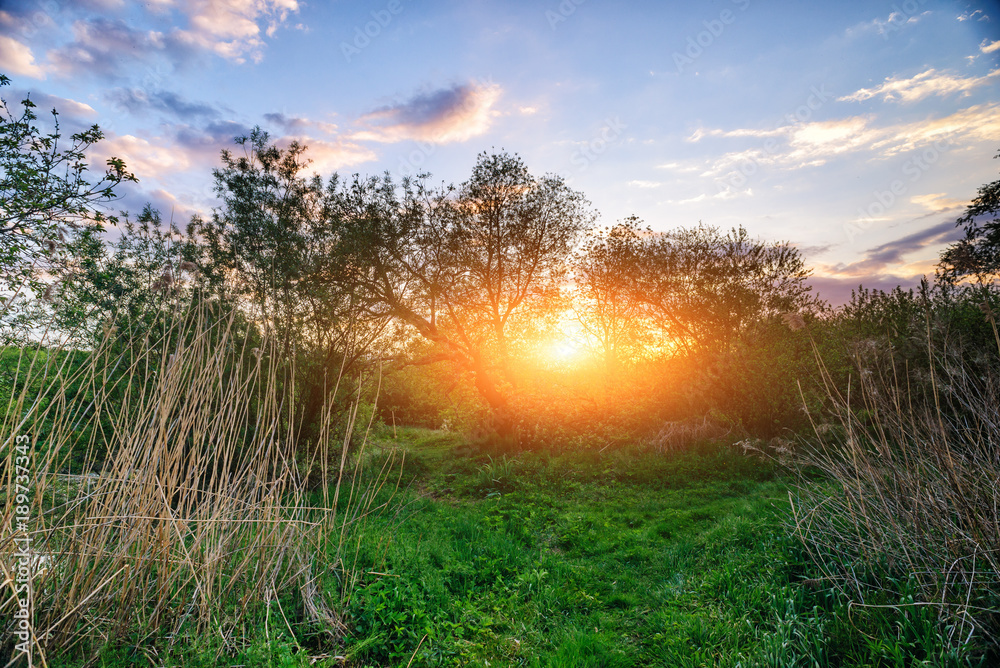 Fotografie Beautiful sunset above rural lane. Square composition