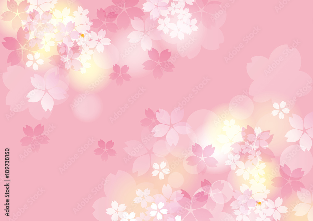 可愛い色桜 二可愛い色桜 ほんわり
