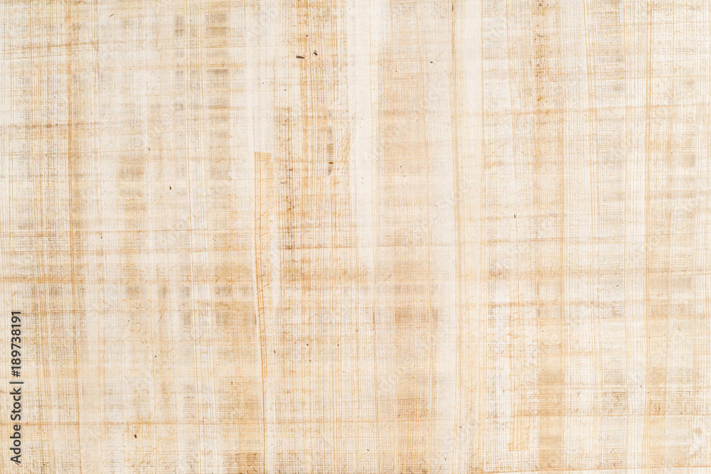 Fototapeta premium Fine antique papyrus as background, paper texture