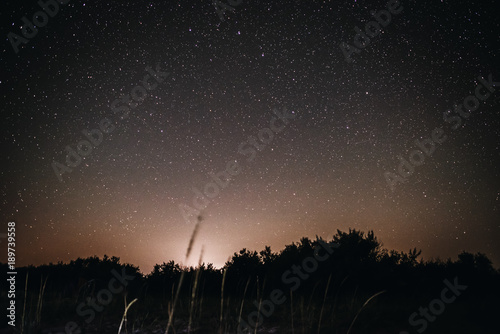 Background of bright starry night sky with lights upon on it and silhouette of trees