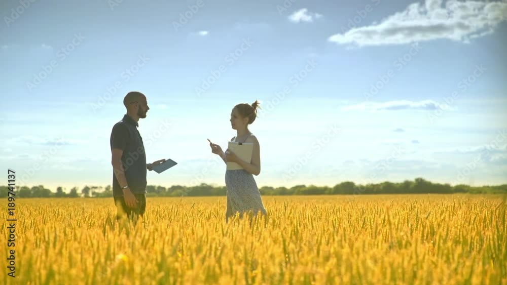 Agriculture scientists talking in wheat field. Male and female agronomist talking about harvest. Agriculture research concept. Agro researchers speaking Agriculture scientists talking in wheat field. Male and female agronomist talking about harvest. Agriculture research concept. Agro researchers speaking