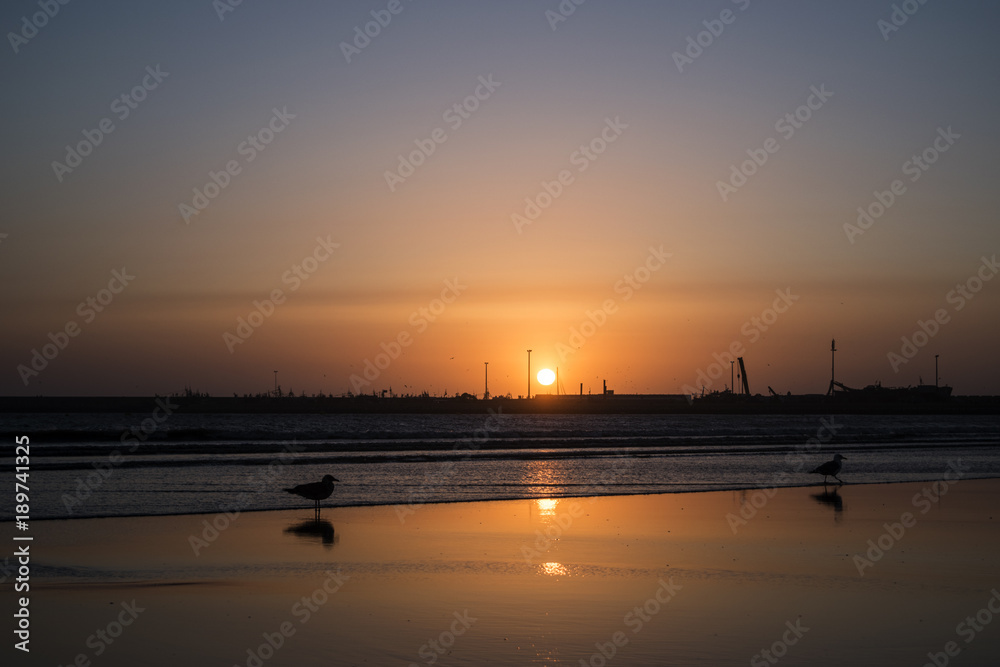 Spiaggia di Essaouira durante il tramonto con gabbiani
