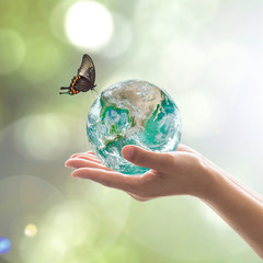 World environment day and environmental friendly concept with green earth on volunteer's hands. Element of  image furnished by NASA