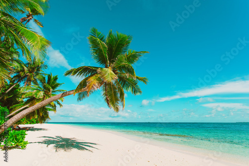 Fototapeta Naklejka Na Ścianę i Meble -  tropical sand beach with palm trees