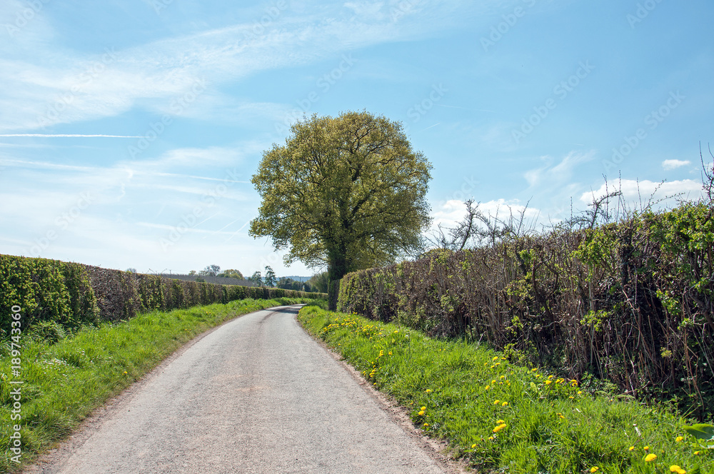 Countryside landscape and lane in the United Kingdom. Countryside landscape and lane in the United Kingdom.