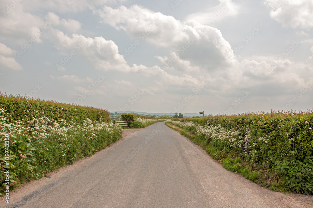 Countryside landscape in the United Kingdom. Countryside landscape in the United Kingdom.