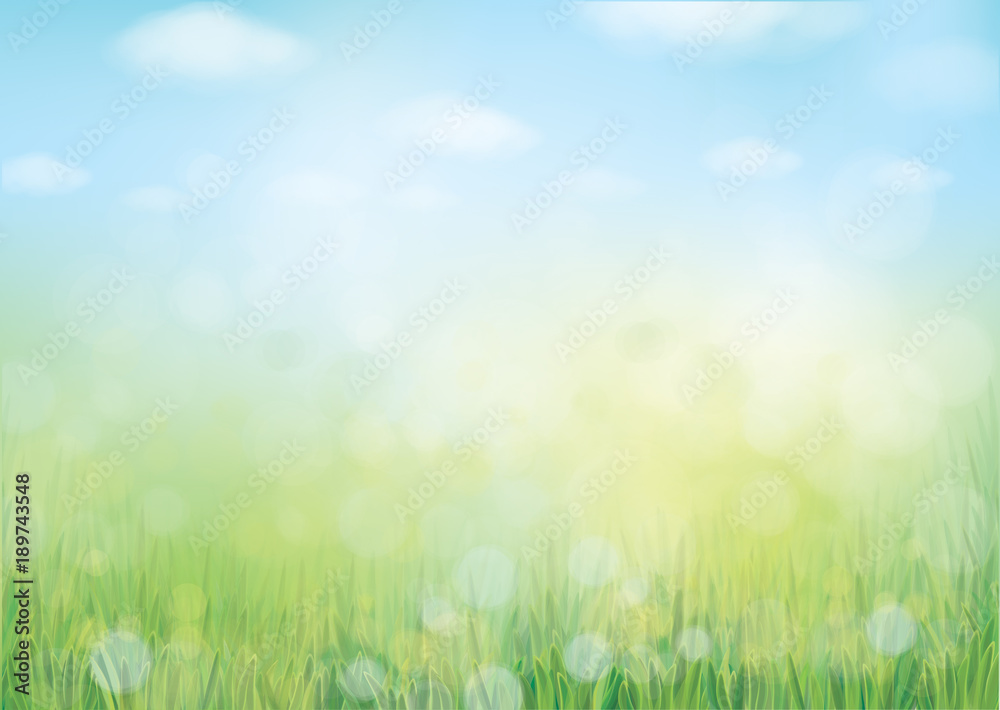 custom made wallpaper toronto digitalVector summer nature  background, blurred effect.
