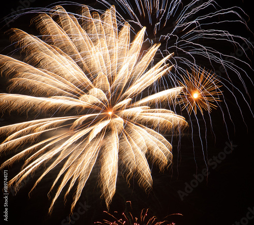 Fireworks in the night time sky.