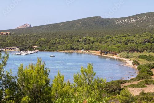 Summer landscape with green bushes on Sardinia Island © robertdering