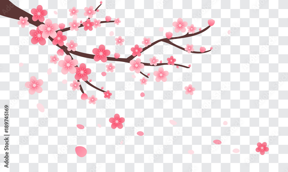 Sakura branch with falling petals Vector illustration. Pink Cherry blossom on transparent background. - obrazy, fototapety, plakaty 