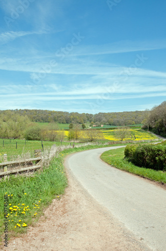 Summertime country road in the English countryside.
