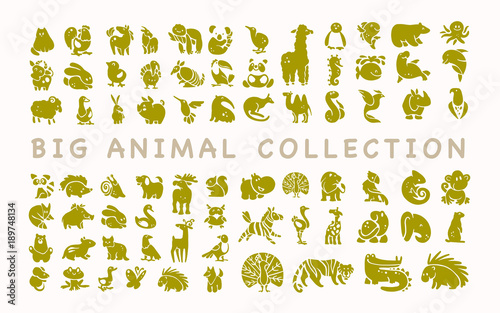 Vector collection of flat cute animal icons isolated on white background. Exotic, rare, tropic, north, african, forest & farm animals. Dog, squirrel, zebra, birds, tiger, fish, rooster, fox, frog etc.