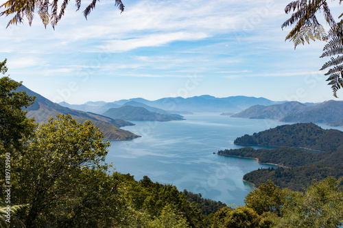 New Zealand south island french pass drive marlborough sounds fjord landscape photo