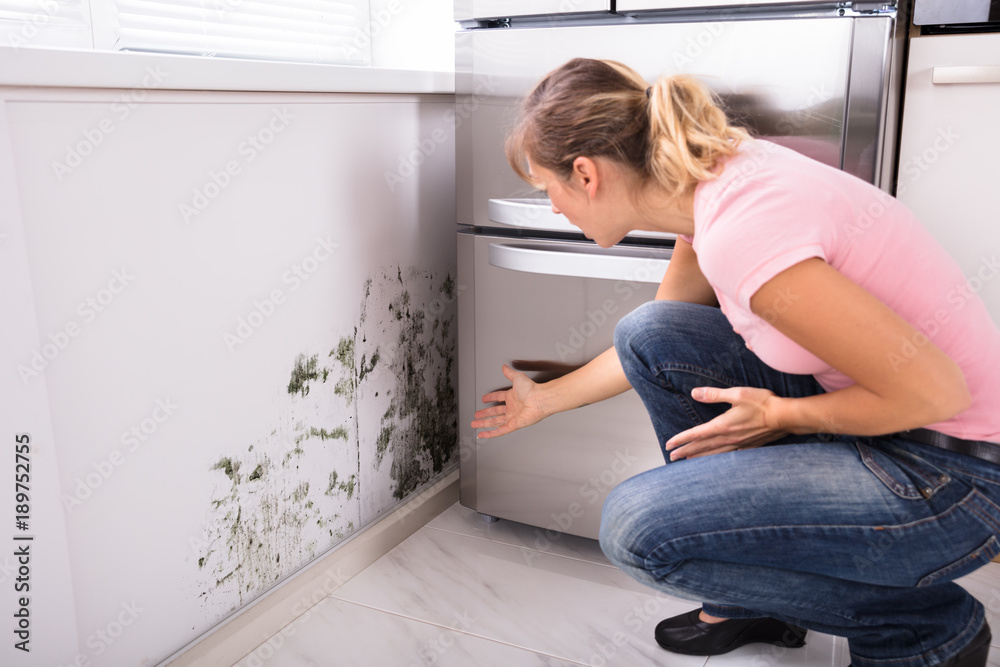 Shocked Woman Looking At Mold On Wall Shocked Woman Looking At Mold On Wall