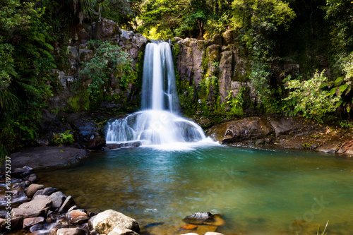 Fototapeta Naklejka Na Ścianę i Meble -  New Zealand Waiau tropic waterfall Coromandel  Peninsula