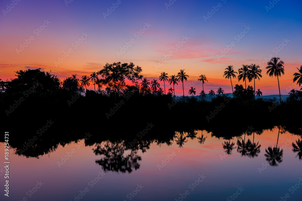 Naklejka premium silhouettes of palm trees at dawn near a lake. Tinted.