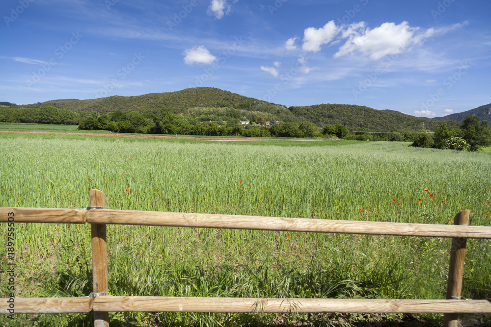 Landscape in Garrotxa region,Santa Pau,Catalonia,Spain.