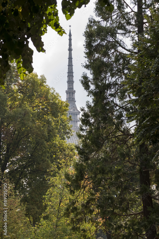 Obraz premium Mole Antonelliana dai Giardini Reali