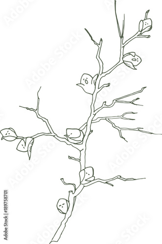 The branches of the trees are strewn with spring buds of leaves, which wake up from the winter sleep.
