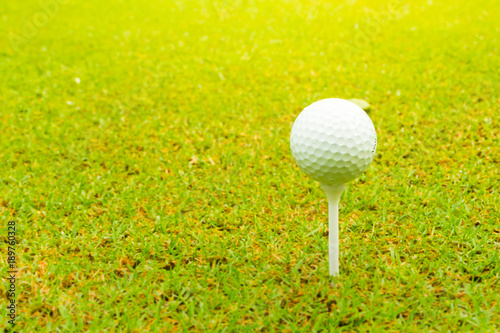 Golf ball on the green with tee  Close up.