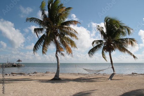Fototapeta Naklejka Na Ścianę i Meble -  Sunny beach with palm trees an hammock. Florida Keys, USA.