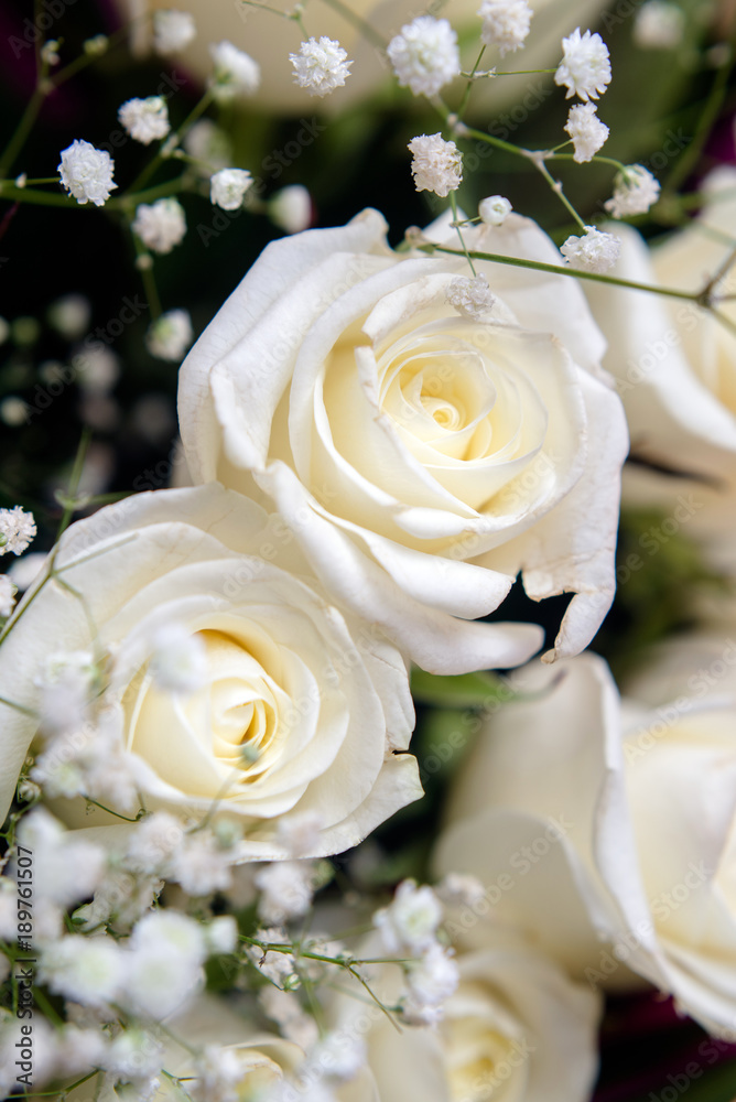 A bouquet of white roses close-up