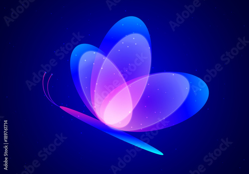 abstract beautiful butterfly