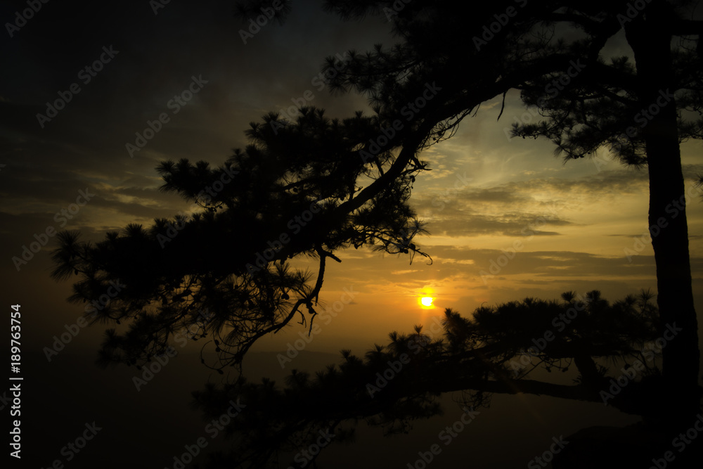 Phu Kradueng National Park, forest, nature. Phu Kradueng National Park, forest, nature.