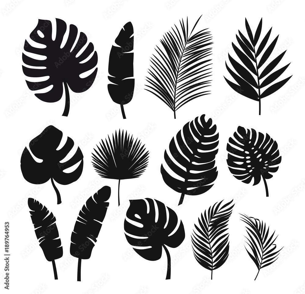 Fototapeta premium Zestaw czarnych sylwetek palm tropikalnych liści, drzew.