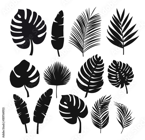 Set of black silhouettes of tropical leaves palms, trees.