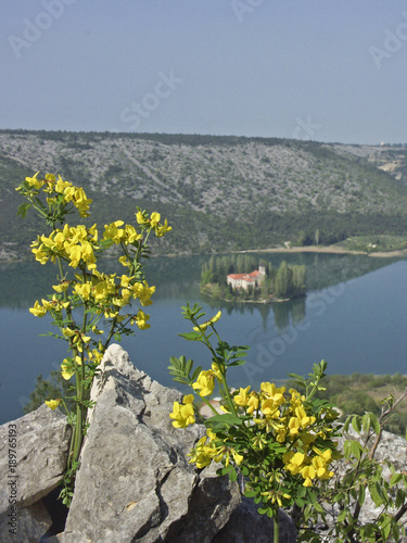 Ginsterbusch vor dem See Visovacko jezero photo