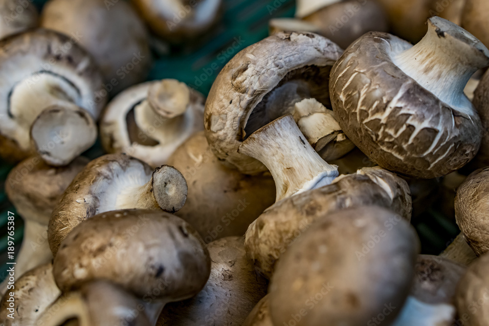 Closeup of crates of fresh, ecologically produced mushrooms. Captured in the market for fruits and vegetables. Concept health and agriculture. Closeup of crates of fresh, ecologically produced mushrooms. Captured in the market for fruits and vegetables. Concept health and agriculture.