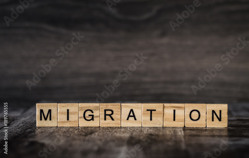 the word migration is made of bright wood cubes with black letters on a dark wooden background photo