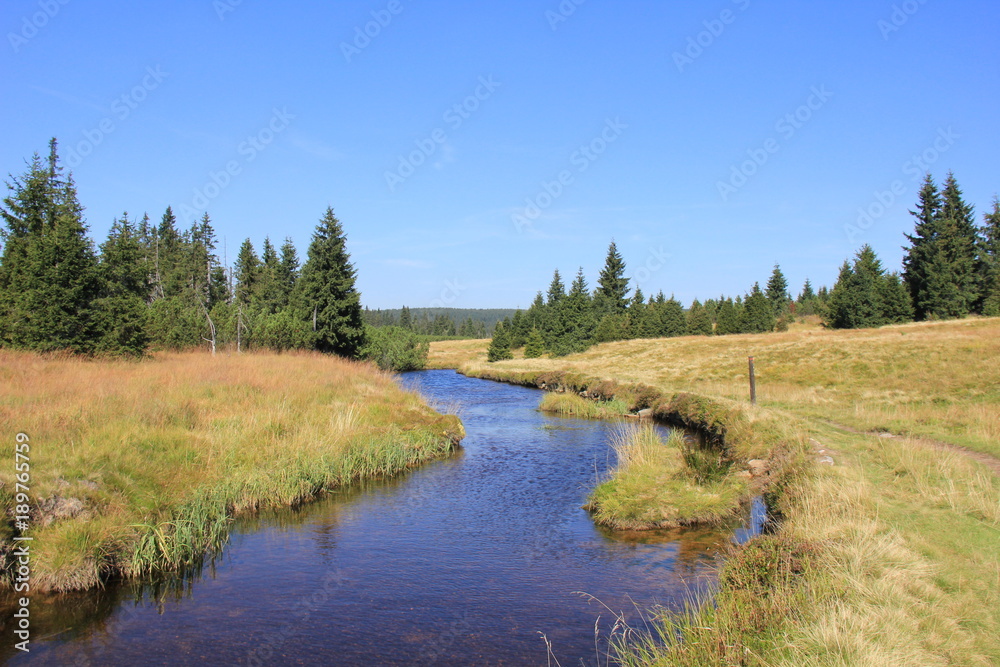 River Jizera in sunny day. Jizerka, Czech Republic. River Jizera in sunny day. Jizerka, Czech Republic.