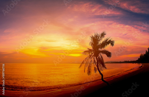 Landscapes of Silhouette coconut palm trees on beach at sunset.