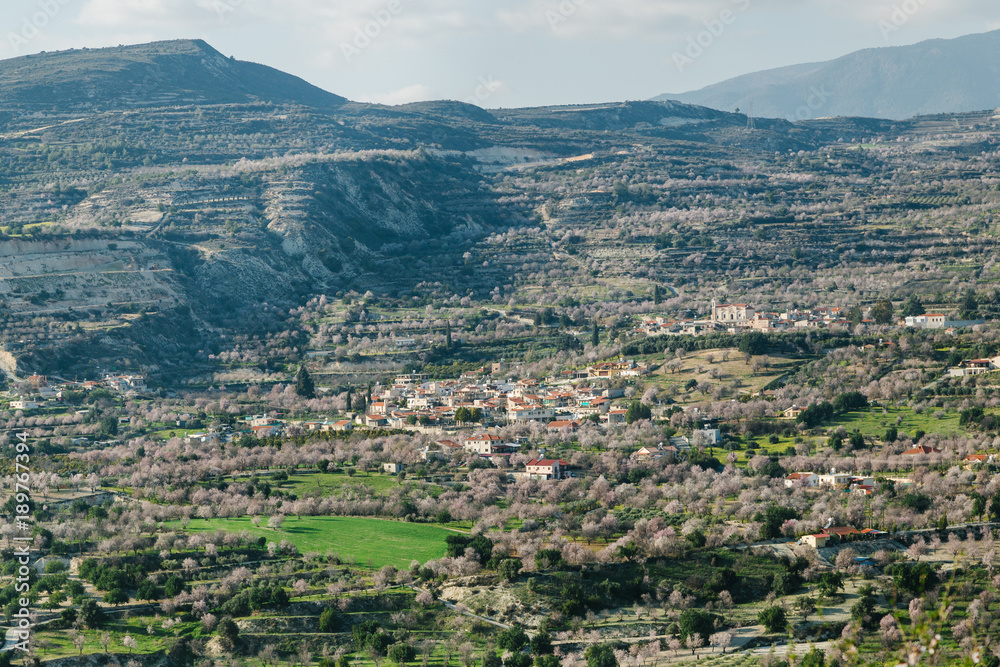 village in the mountain with blooming almonds and cherry trees village in the mountain with blooming almonds and cherry trees