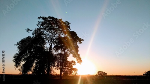 Sunset I