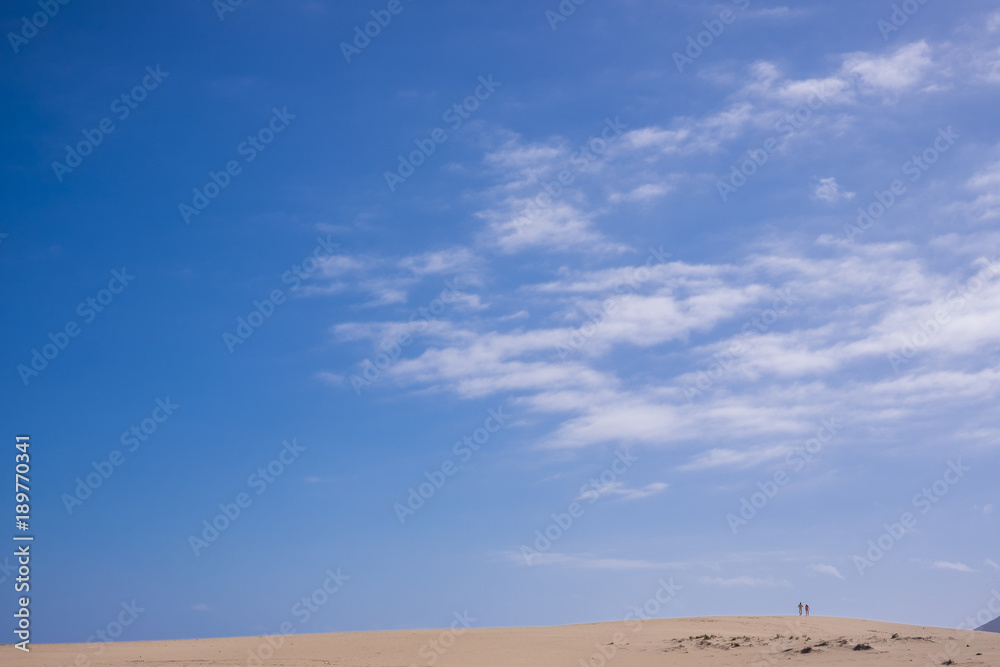 little couple walk together in the desert little couple walk together in the desert