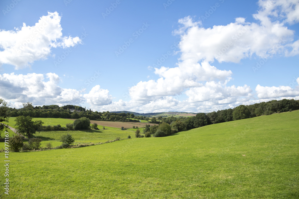 Naklejka premium Landschaft Eifel