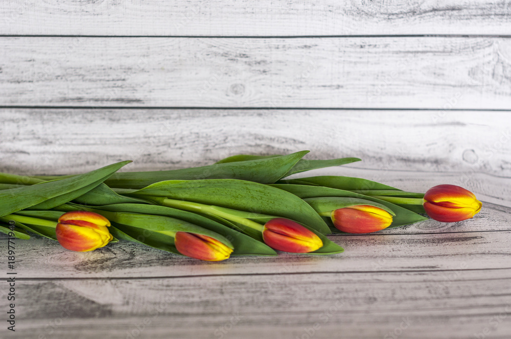 Fototapeta premium Bukiet kolorowych tulipanów na drewnianym stole z miejscem na tekst