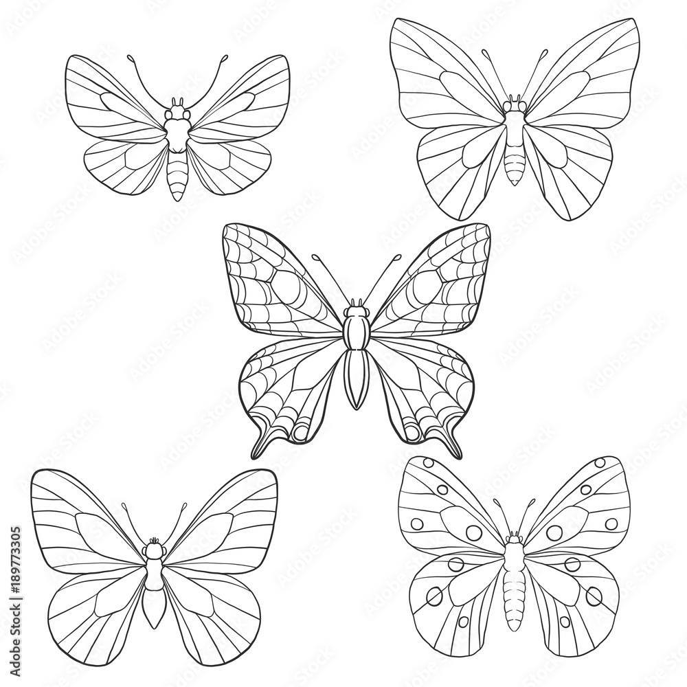 Naklejka vector set of butterflies