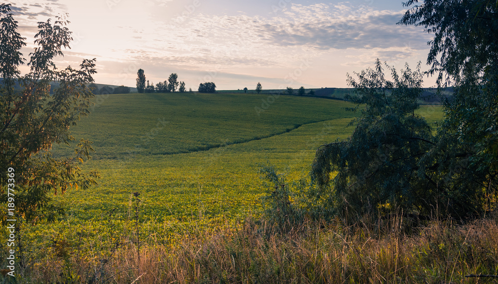 Fototapeta premium Fields, forests and roads in autumn